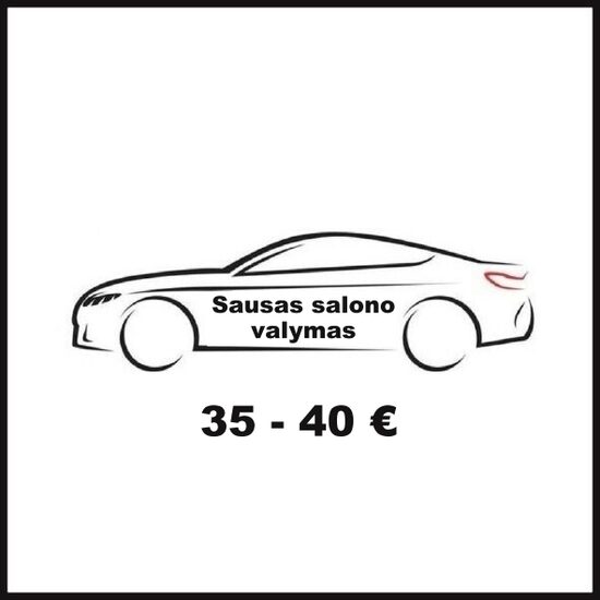 Sausas salono valymas